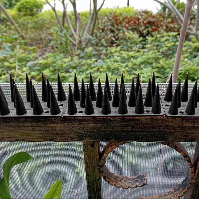 12 pcs Palstic Anti Bird Spike Scarer Anti-Cat Dog Pest Deterrent Pigeon Repellent with 3.cm Long Spikes